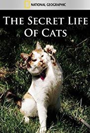 The Secret Life of Cats (2014)