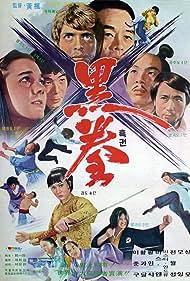 When Taekwondo Strikes (1973)