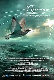 Flyways the untold journey of migratory shorebirds (2023)