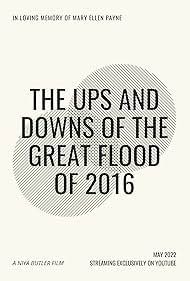 The Ups and Downs of the Great Flood of 2016 (2022)