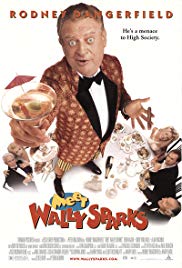 Meet Wally Sparks (1997)